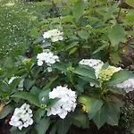 Bed and Breakfast Au Jardin Fleuri 3*
