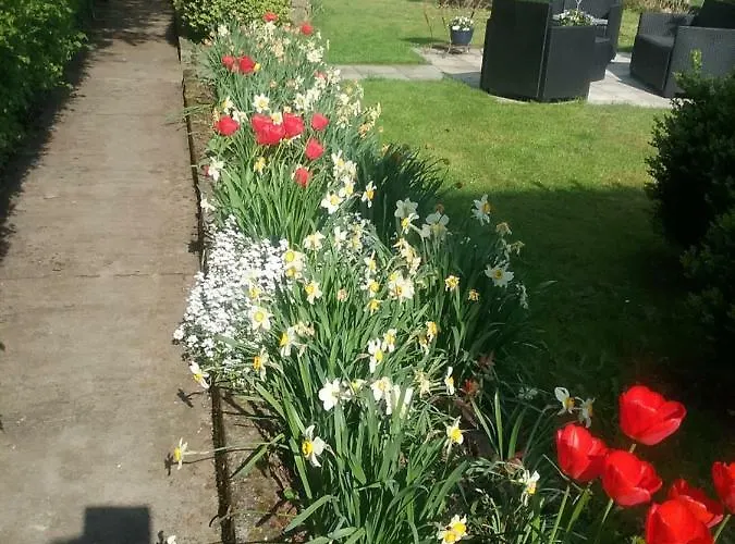 Couette-café Au Jardin Fleuri Marche-en-Famenne